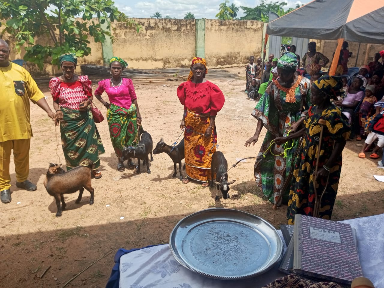 Empowering Women Through Sustainable Livestock Distribution: Building Financial Independence and Lasting Prosperity